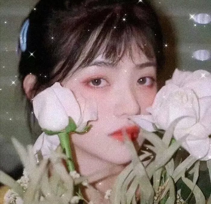 晨光正好